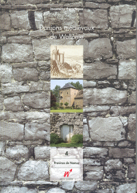 Inventaires thématiques. Donjons médiévaux de Wallonie n° 4. Province de Namur. Arrondissements de Dinant, de Namur et de Philippeville